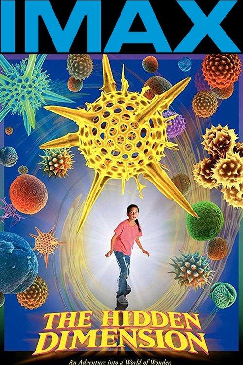 The Hidden Dimension 1998 official movie poster