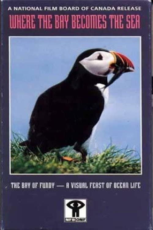 Where the Bay Becomes the Sea 1985 official movie poster