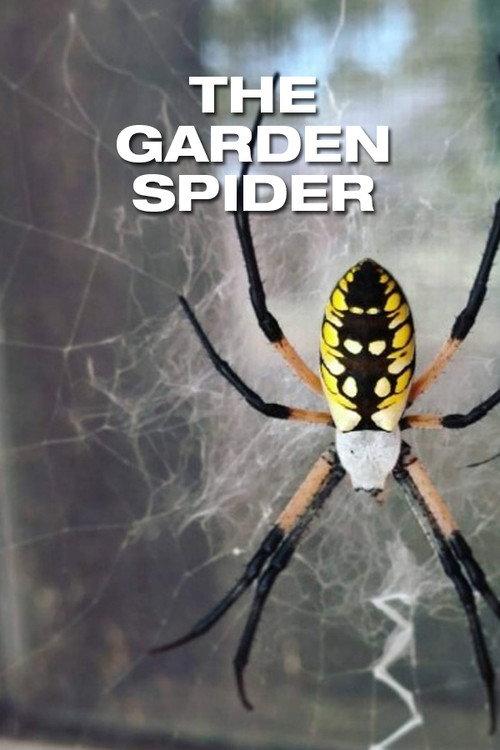 The Garden Spider 1952 official movie poster