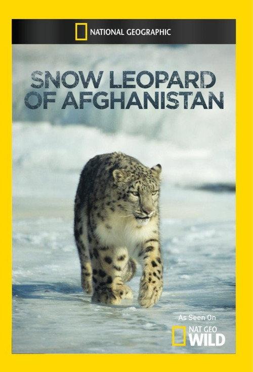Snow Leopard of Afghanistan 2012 official movie poster