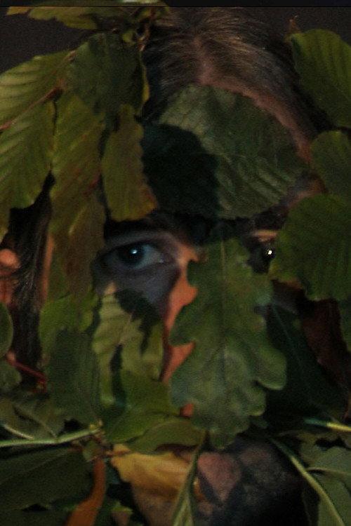 Green Man 2008 official movie poster