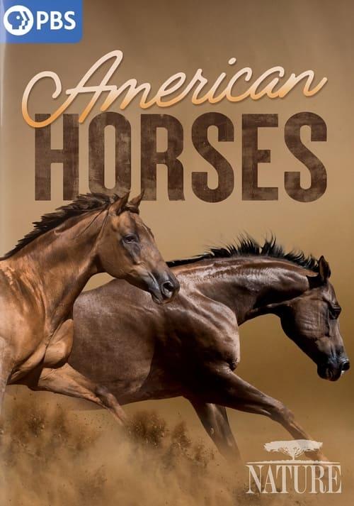American Horses 2022 official movie poster