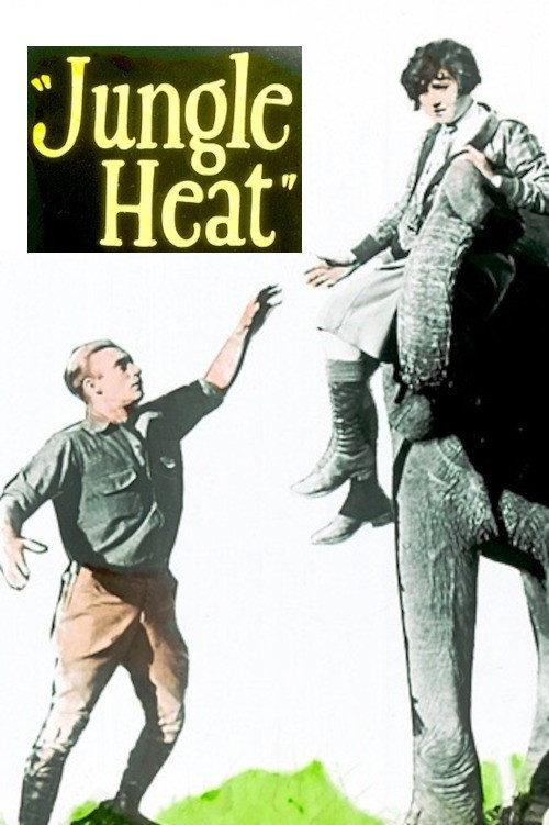 Jungle Heat 1927 official movie poster
