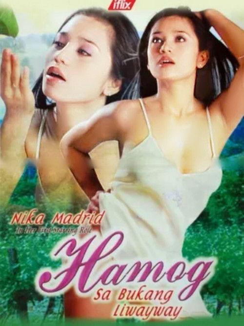 Hamog sa Bukang Liwayway 2004 official movie poster