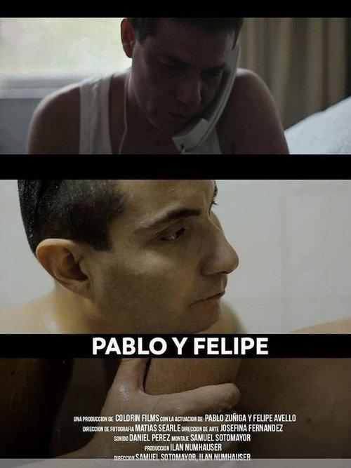 Pablo y Felipe 2012 official movie poster