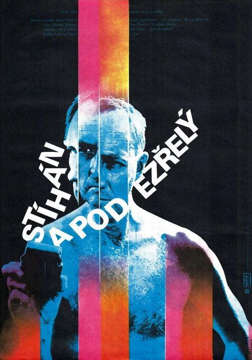 Chased and Suspected 1979 official movie poster
