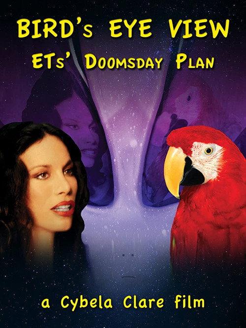 Bird's Eye View 2020 official movie poster