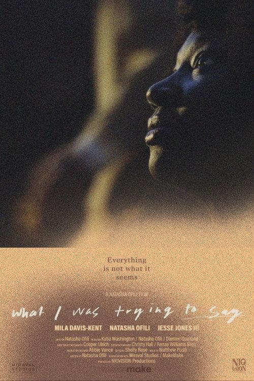What I Was Trying to Say official movie poster