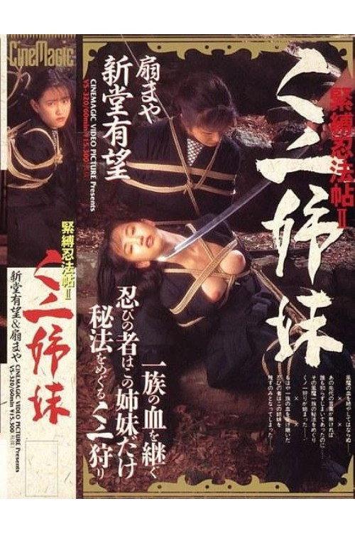Ninja Bondage Chronicle 2: Ninja Sisters 1994 official movie poster