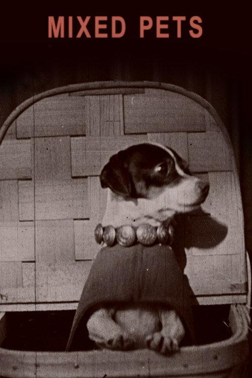 Mixed Pets 1911 official movie poster