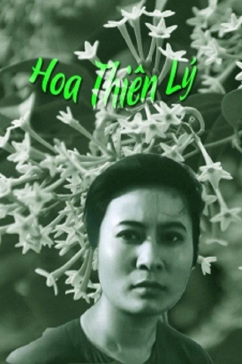 Tonkin Jasmine Flower 1973 official movie poster