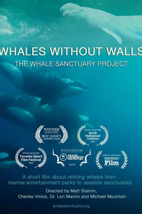 Whales Without Walls 2020 official movie poster