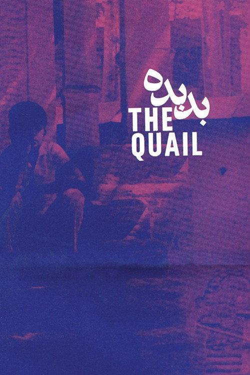 The Quail: The Tale of a Boy Who Asks 1970 official movie poster