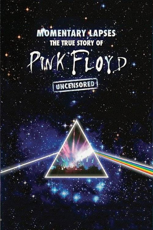 Pink Floyd: Momentary Lapses - The True Story of Pink Floyd 2010 official movie poster