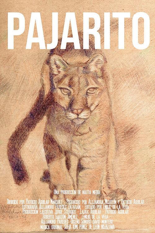 Pajarito 2022 official movie poster