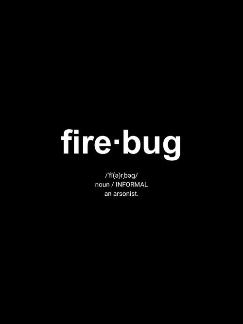 Firebug official movie poster