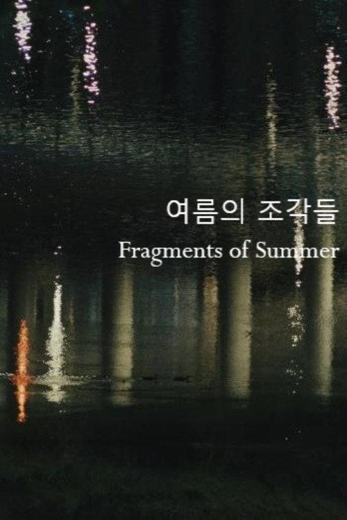 Fragments of Summer 2024 official movie poster
