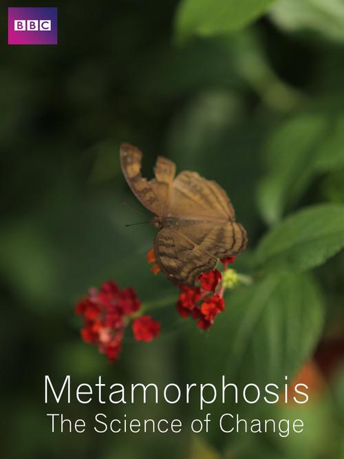 Metamorphosis: The Science of Change 2013 official movie poster