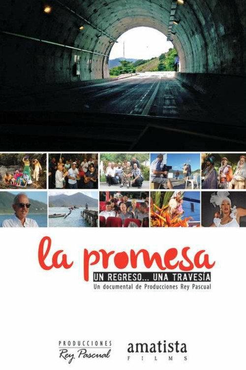 La promesa 2014 official movie poster