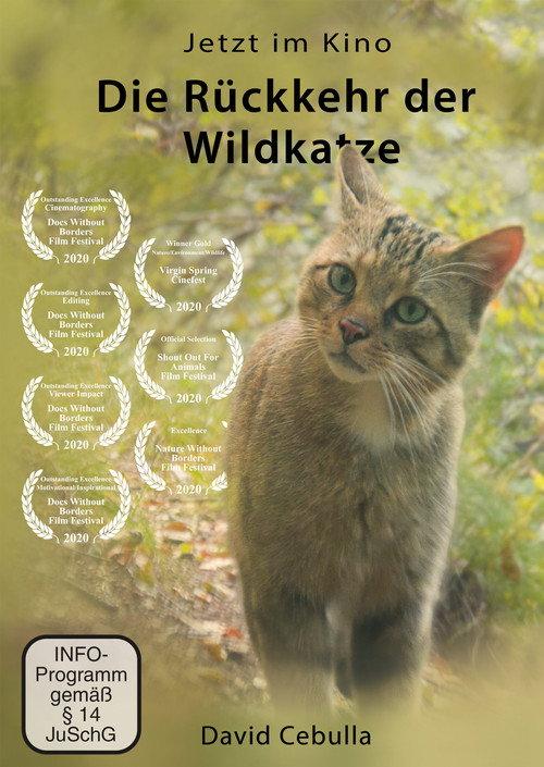 The Return of the Wildcat 2020 official movie poster