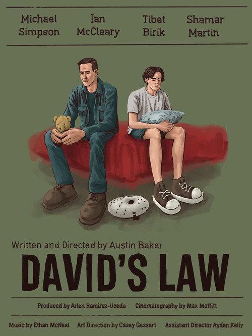 DAVID'S LAW 2025 official movie poster