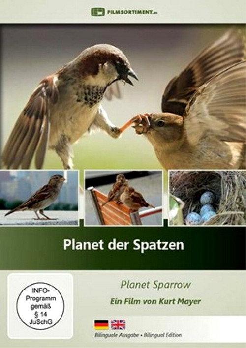 Planet der Spatzen 2017 official movie poster