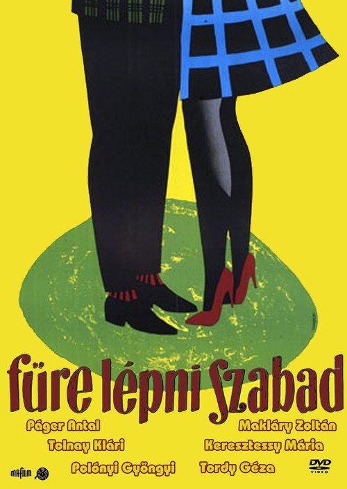 Don't Keep Off the Grass 1960 official movie poster