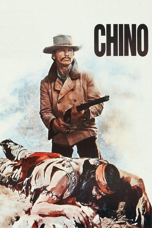 The Valdez Horses 1973 official movie poster