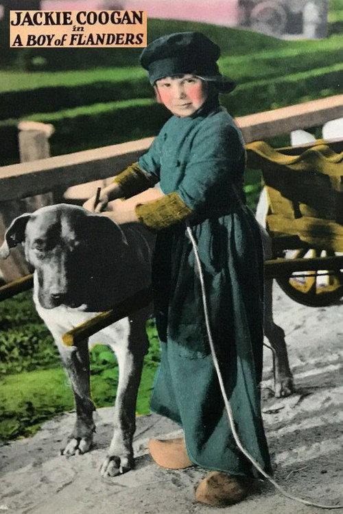 A Boy of Flanders 1924 official movie poster