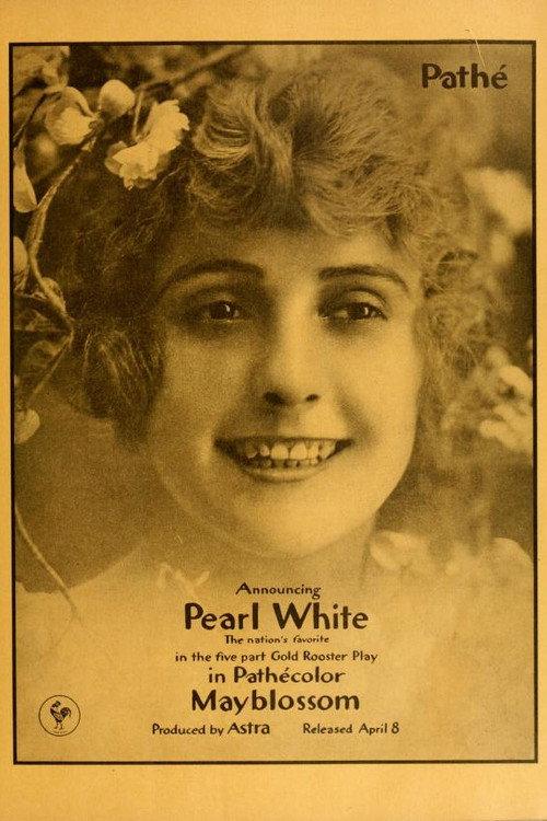 Mayblossom 1917 official movie poster