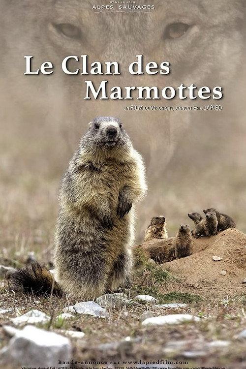 A Marmot's Life 2021 official movie poster