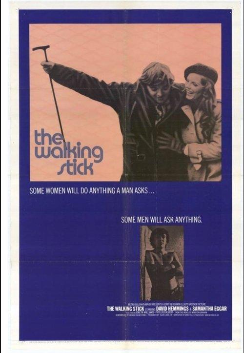 The Walking Stick 1970 official movie poster