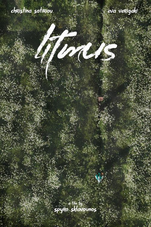 Litmus 2026 official movie poster