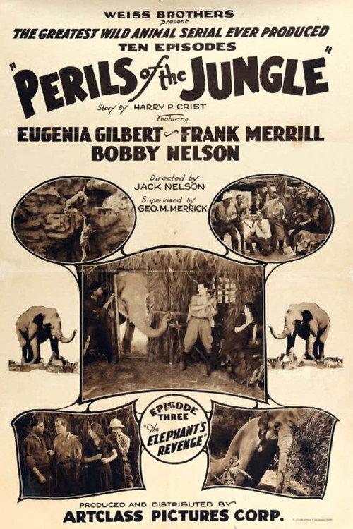 Perils of the Jungle 1927 official movie poster