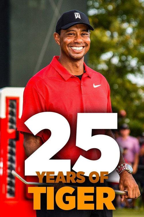 25 Years of Tiger 2021 official movie poster