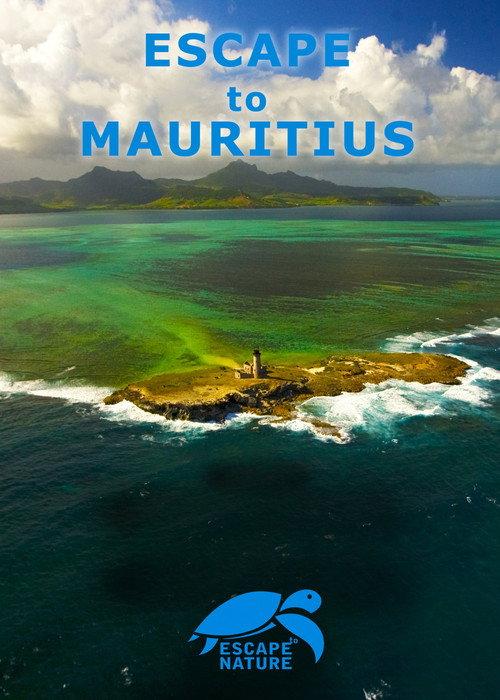 Escape to Mauritius 2009 official movie poster