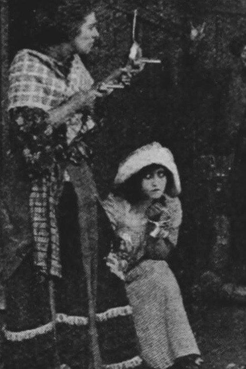 The Female Detective 1913 official movie poster