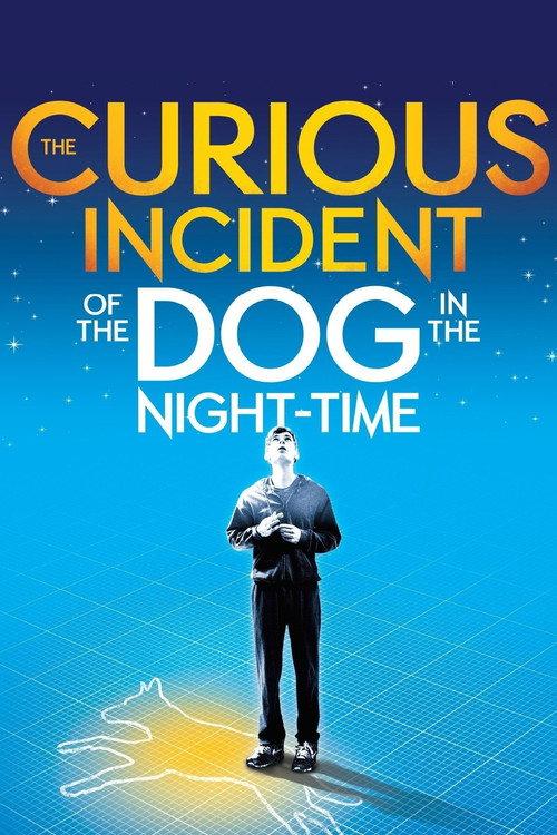 National Theatre Live: The Curious Incident of the Dog in the Night-Time 2012 official movie poster