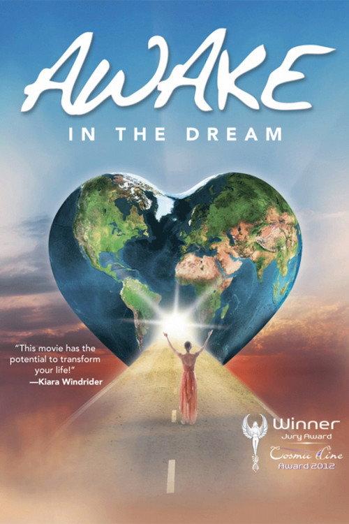 Awake in the Dream 2013 official movie poster