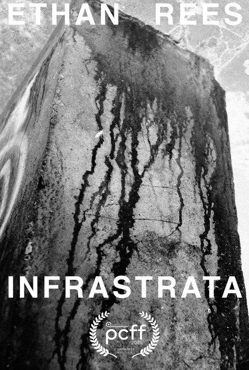 INFRASTRATA 2024 official movie poster