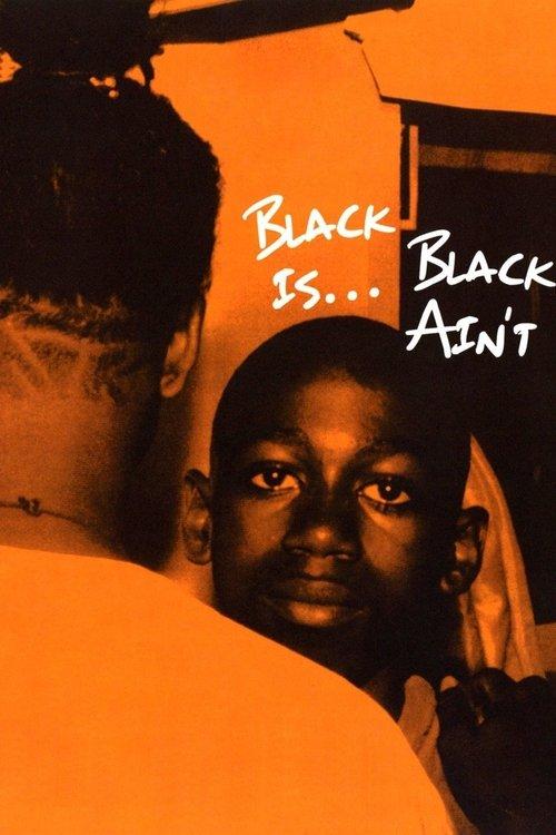 Black Is… Black Ain’t 1995 official movie poster