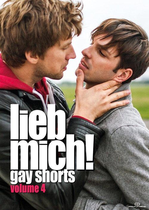 LIEB MICH! - Gay Shorts Volume 4 2014 official movie poster