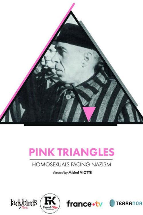 Pink Triangles, Homosexuals Facing Nazism 2024 official movie poster
