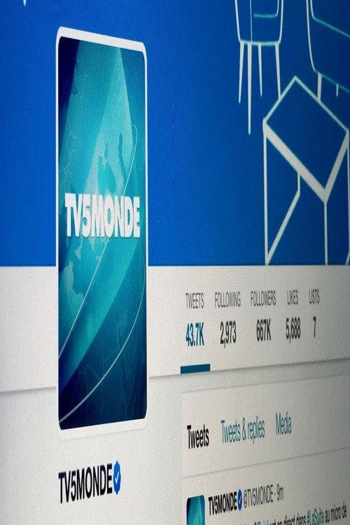 TV5 Monde Incident Analysis 2017 official movie poster