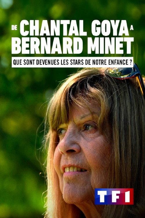 De Chantal Goya à Bernard Minet : Que sont devenues les stars de notre enfance ? 2023 official movie poster