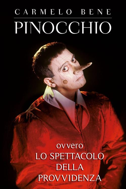 Pinocchio, ovvero lo spettacolo della Provvidenza 1999 official movie poster