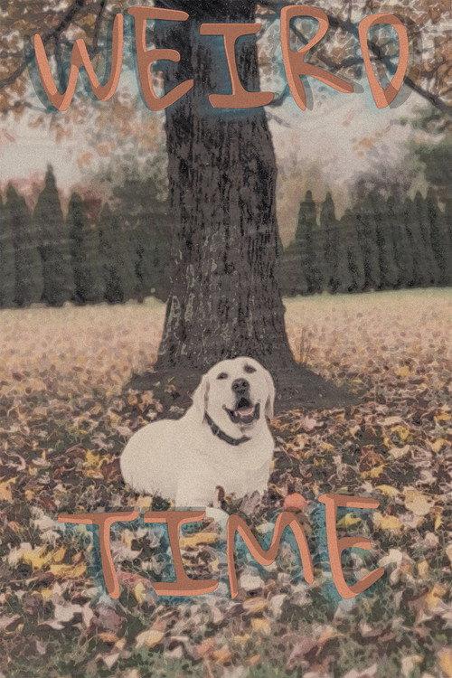 Weird Time 2025 official movie poster