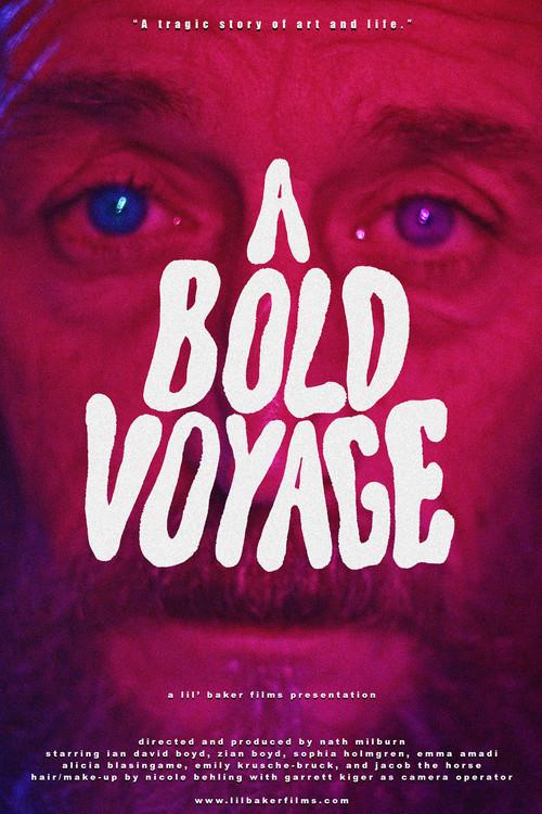 A Bold Voyage 2024 official movie poster