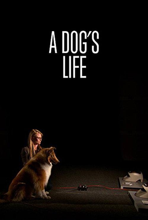 A Dog's Life 2013 official movie poster