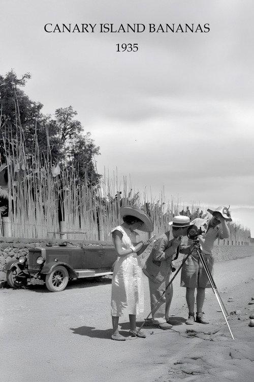 Canary Island Bananas 1935 official movie poster